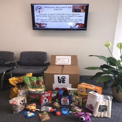 Take your dog to work day with donations for Dakin Humane Society Take your dog to work day with donations for Dakin Humane Society